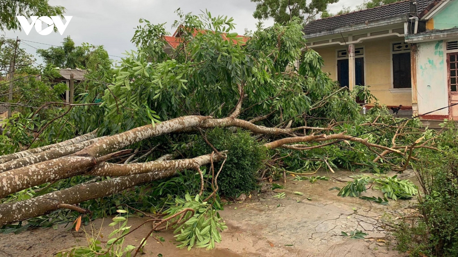 Storm Noul death toll rises to 6, Thua Thien-Hue hardest hit